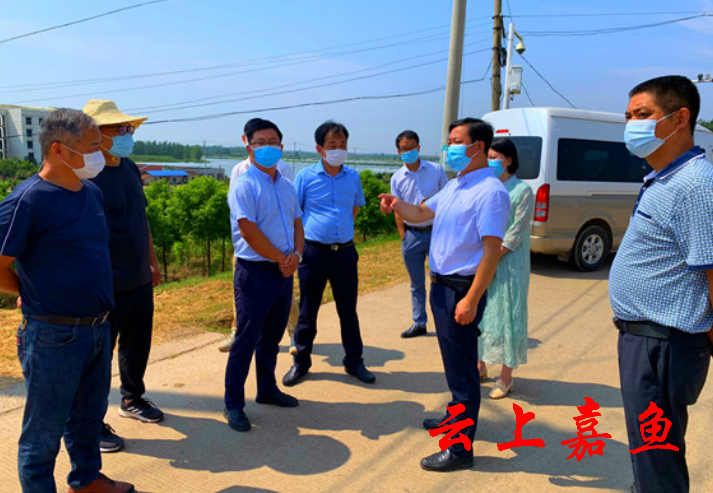 嘉鱼政府-王永在潘家湾镇簰洲湾镇新街镇调研疫情防控工作时强调:要